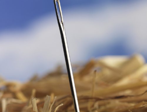Why Auditors Do Not Find Fraud